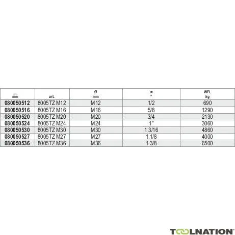 Beta 080050524 Tenditore con 2 occhielli M24 Ø mm