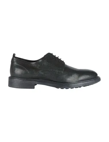 Geox U Aurelio stringata derby  