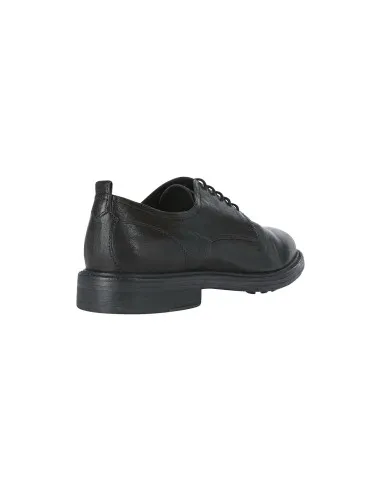 Geox U Aurelio stringata derby  