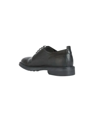 Geox U Aurelio stringata derby  
