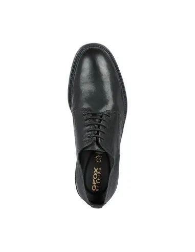 Geox U Aurelio stringata derby  