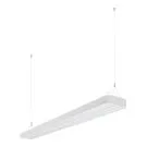 Ledvance Pannello a LED Lineare Luce pendente IndiviLED 56W 6150lm - 830 Luce Calda | 150x12cm - UGR <25 - Dali Dimmerabile