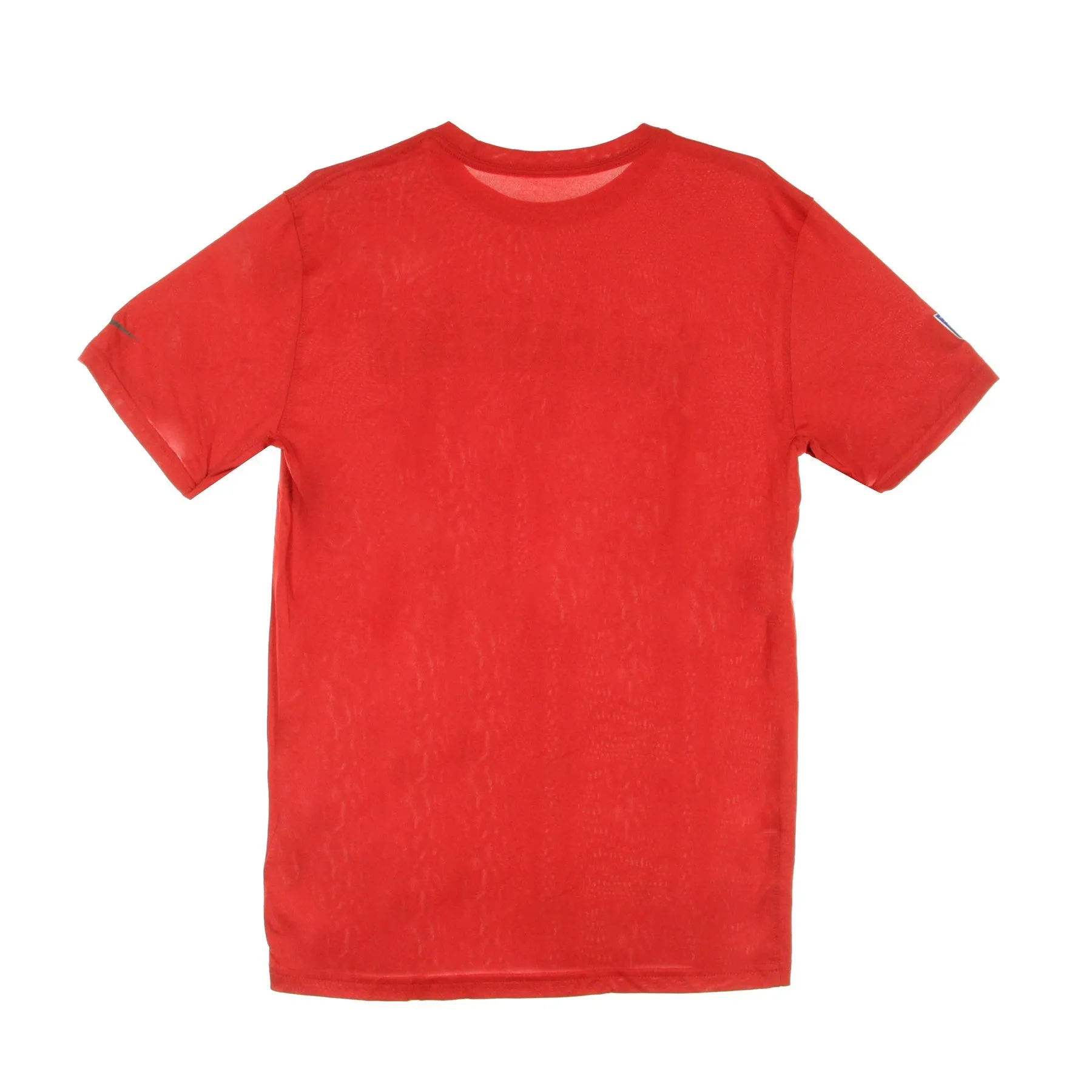 Maglietta Uomo Nfl Team Name Legend Sideline Tee Tambuc Original Team Colors