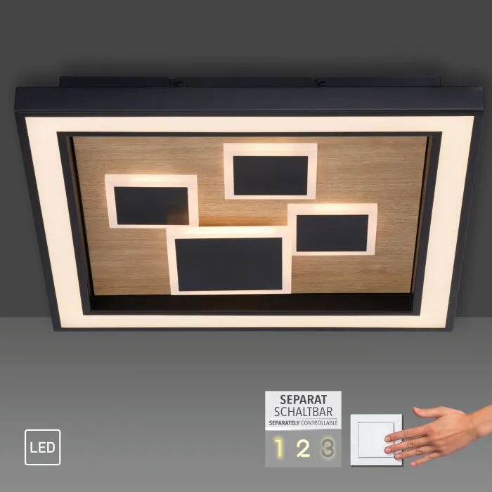 Paul-Neuhaus ELIZA Plafoniera LED Écru, Nero, 1-Luce