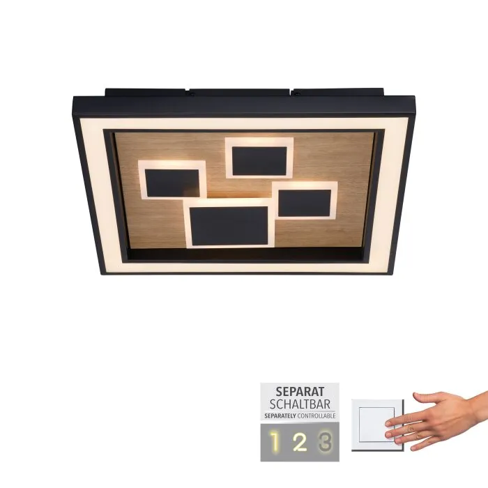 Paul-Neuhaus ELIZA Plafoniera LED Écru, Nero, 1-Luce