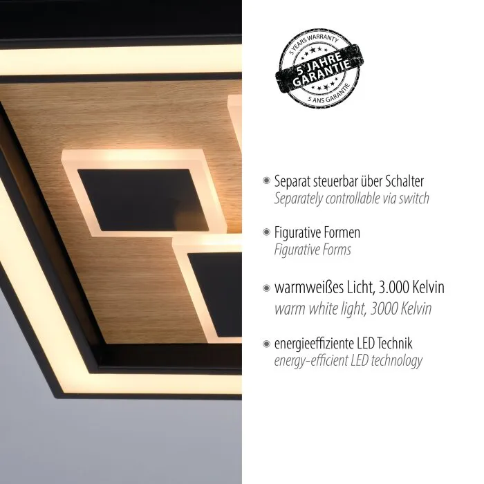 Paul-Neuhaus ELIZA Plafoniera LED Écru, Nero, 1-Luce