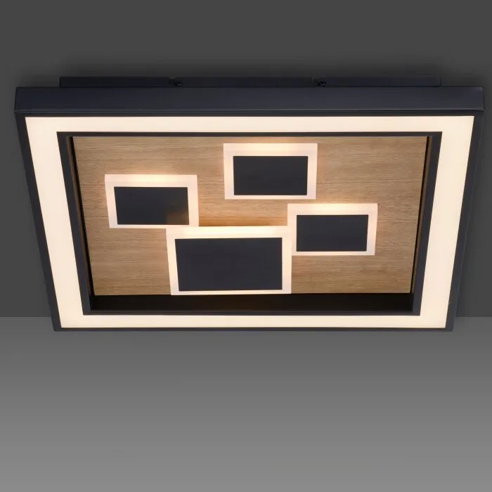 Paul-Neuhaus ELIZA Plafoniera LED Écru, Nero, 1-Luce