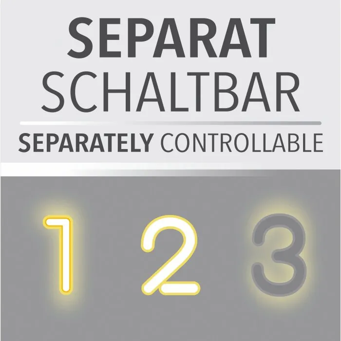 Paul-Neuhaus ELIZA Plafoniera LED Écru, Nero, 1-Luce