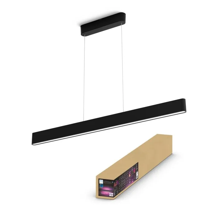 Philips Hue White & Color Ambiance Ensis Lampada a Sospensione LED Nero, 2-Luci, Cambia colore