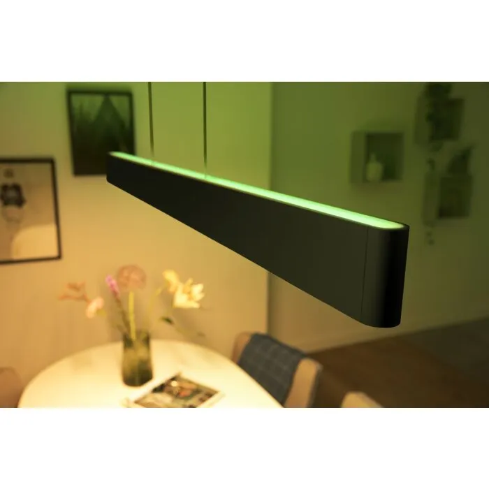 Philips Hue White & Color Ambiance Ensis Lampada a Sospensione LED Nero, 2-Luci, Cambia colore