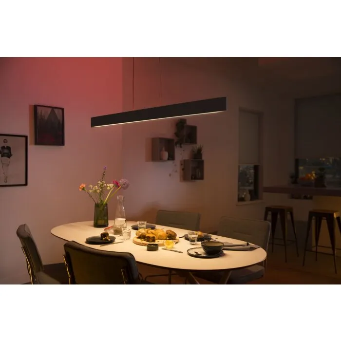 Philips Hue White & Color Ambiance Ensis Lampada a Sospensione LED Nero, 2-Luci, Cambia colore