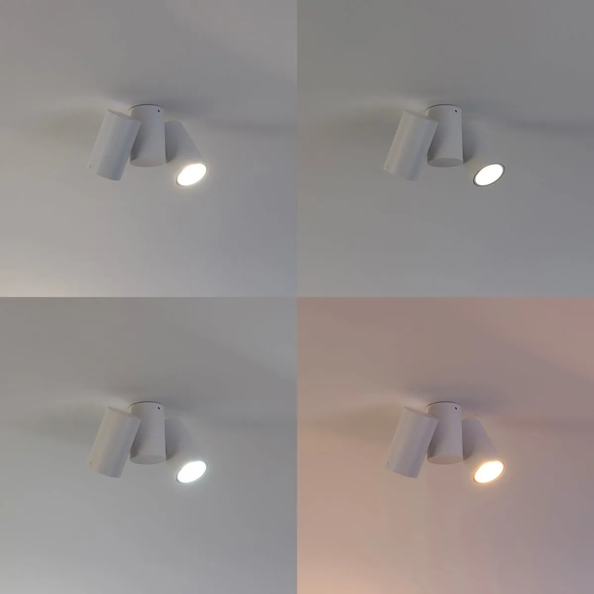 Smart spot bianco regolabile inclusi 2 WiFi GU10 - Michael